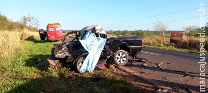 Acidente entre picape e carreta bitrem deixa um morto na BR-376