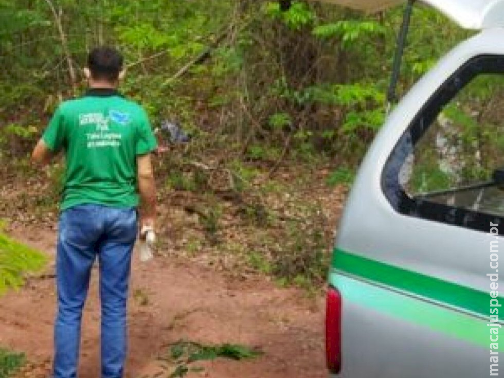 Cadáver é encontrado parcialmente queimado e com marcas de perfurações