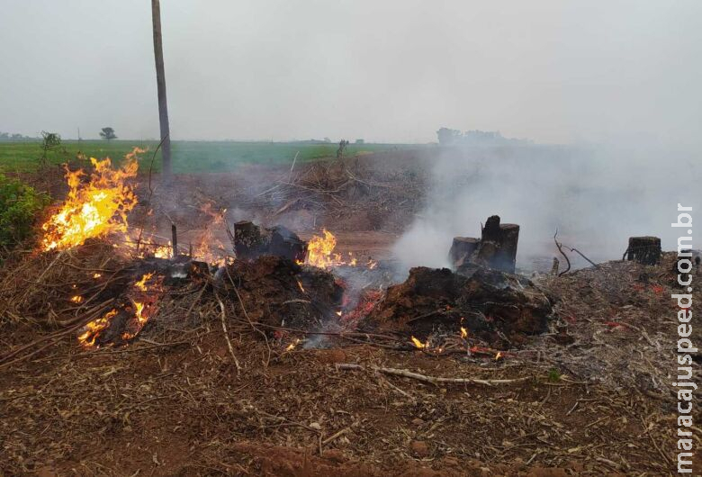 Homem é autuado por provocar incêndio em restos de vegetação