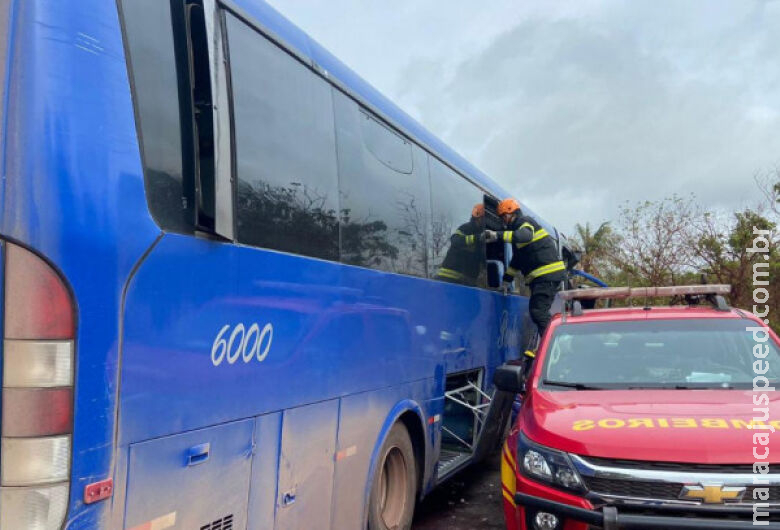 Motorista de ônibus que morreu após colisão com carreta na BR-262 é identificado 