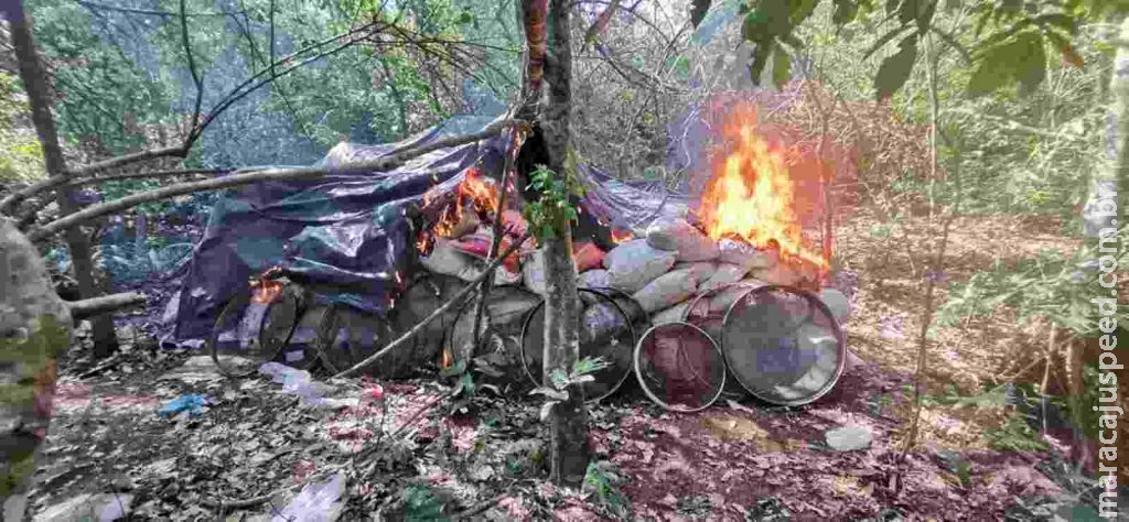 Ofensivas da polícia em fazendas paraguaias eliminam mais de 4 toneladas de maconha Ofensivas da polícia em fazendas paraguaias eliminam mais de 4 toneladas de maconha