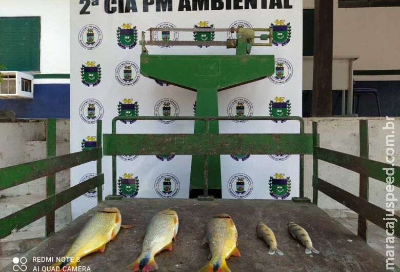 Pescador amador é preso e tem petrechos apreendidos após capturar dourado Pescador amador é preso e tem petrechos apreendidos após capturar dourado