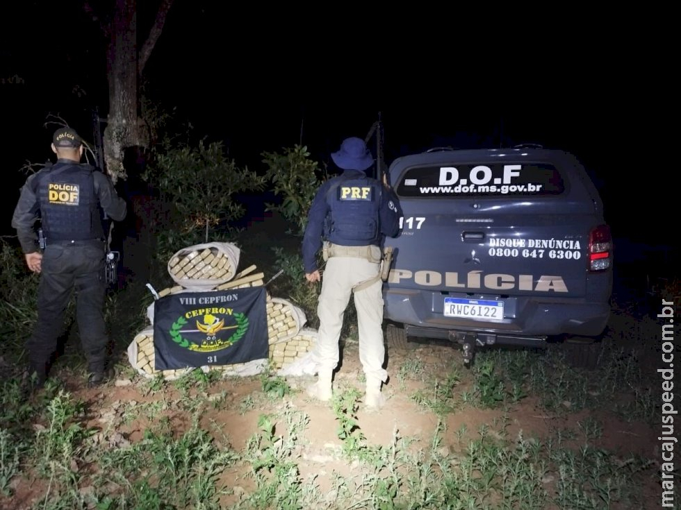 Polícia localiza fardos de maconha escondidos em plantação de milho Polícia localiza fardos de maconha escondidos em plantação de milho