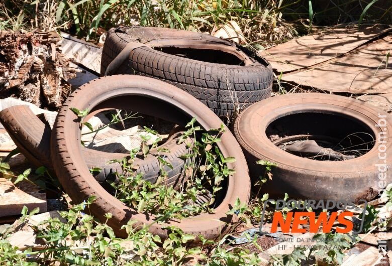 Quase 15 mil pessoas tiveram dengue neste ano em Mato Grosso do Sul Quase 15 mil pessoas tiveram dengue neste ano em Mato Grosso do Sul
