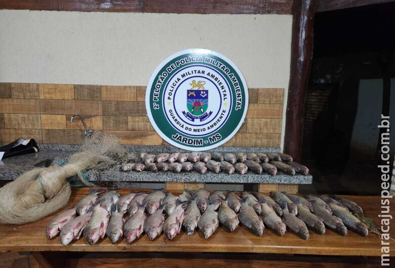Quatro homens são autuados por pesca predatória no Rio Miranda Quatro homens são autuados por pesca predatória no Rio Miranda
