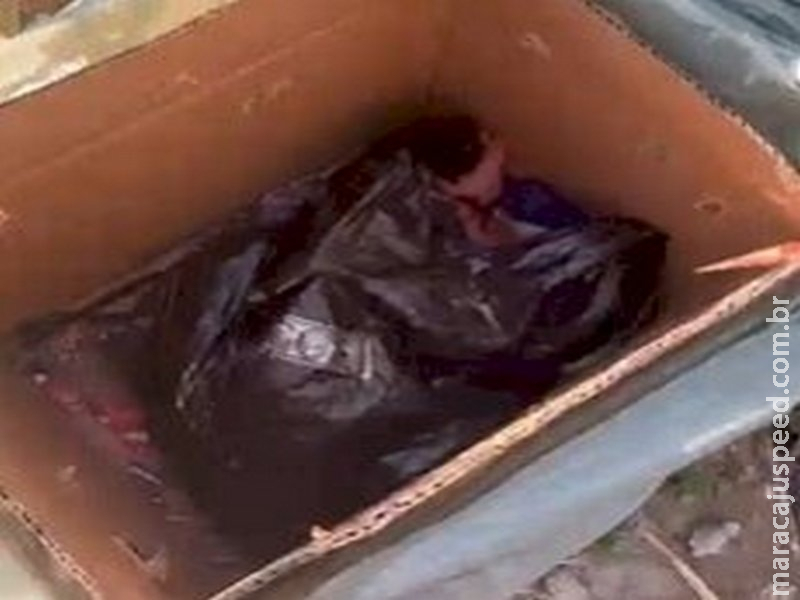 Recém-nascida é encontrada em caixa de papelão em (MG) Recém-nascida é encontrada em caixa de papelão em (MG)