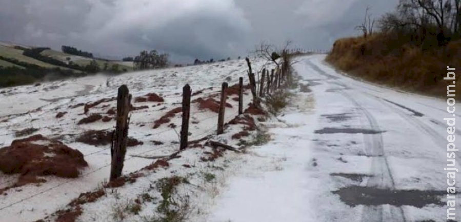 Chuva de granizo causa danos em plantações Chuva de granizo causa danos em plantações