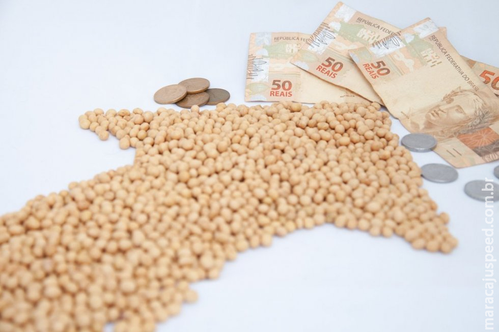 Custos de produção da soja em MT sobem 50,4% em um ano Custos de produção da soja em MT sobem 50,4% em um ano