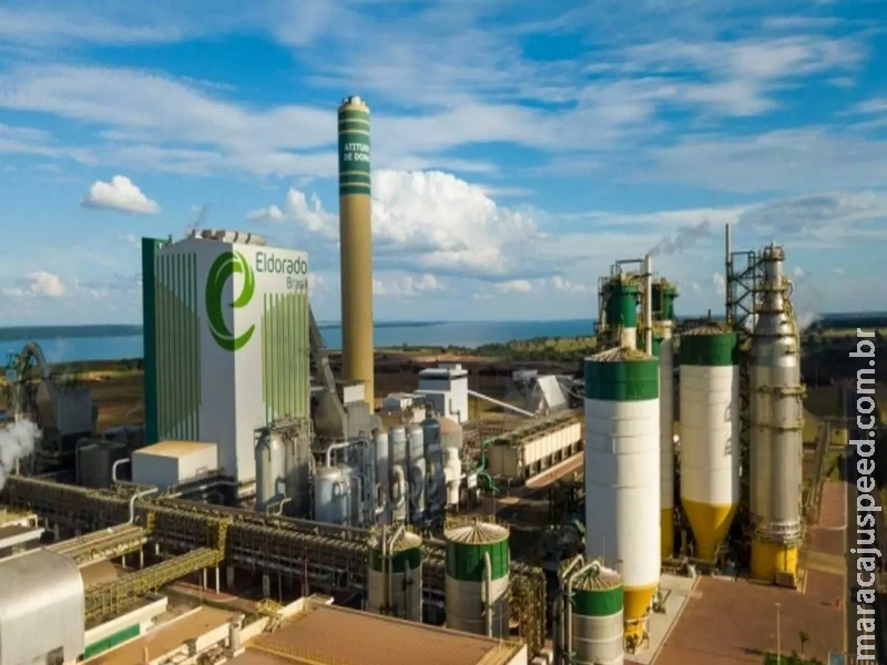 Decisão sobre controle da Eldorado pode destravar investimento bilionário em MS Decisão sobre controle da Eldorado pode destravar investimento bilionário em MS