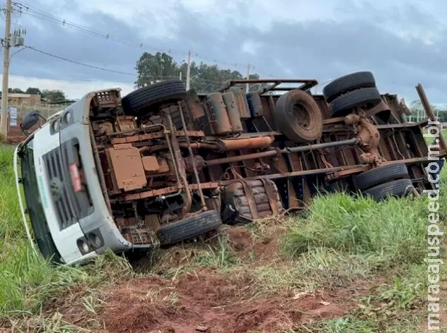 Em aquaplanagem, condutor perde controle e tomba caminhão carregado de feijão