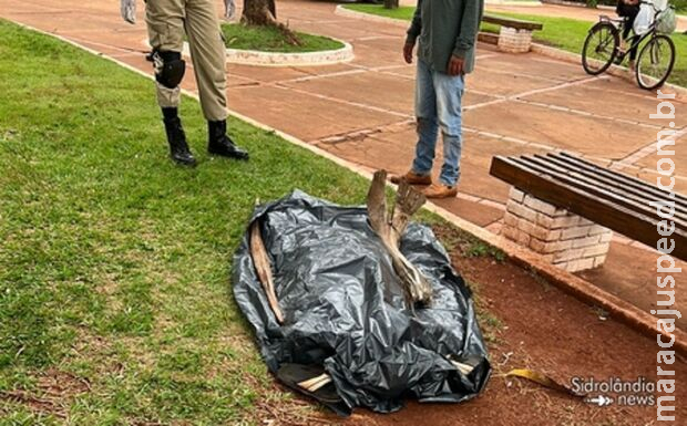 Homem é achado morto em praça central de Sidrolândia Homem é achado morto em praça central de Sidrolândia