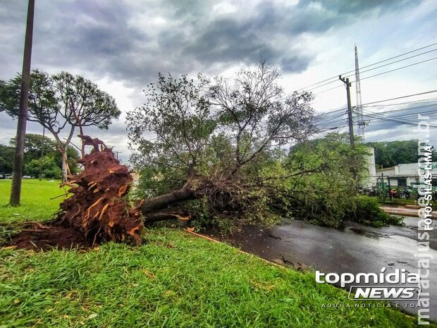 Inmet emite novo alerta e 54 cidades do Estado podem sofrer com tempestade Inmet emite novo alerta e 54 cidades do Estado podem sofrer com tempestade