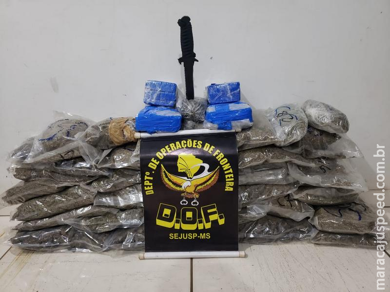 Maracaju: DOF apreende skunk e haxixe marroquino avaliados em mais de R$ 400 mil Maracaju: DOF apreende skunk e haxixe marroquino avaliados em mais de R$ 400 mil