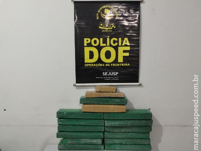 Maracaju: Droga que era levada por passageiro para São Paulo é apreendida pelo DOF Maracaju: Droga que era levada por passageiro para São Paulo é apreendida pelo DOF