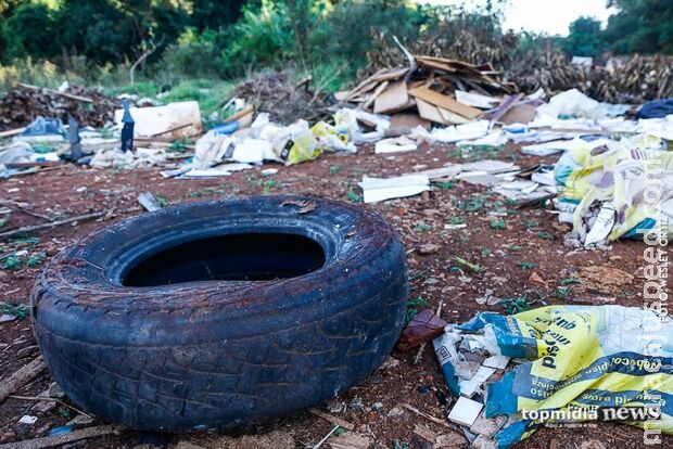 MS registra quase 300 casos de dengue em uma semana