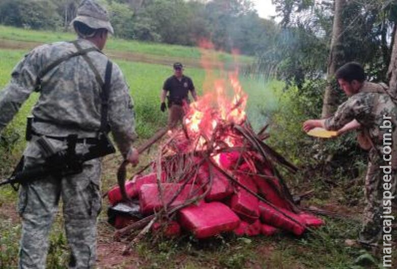 Senad destrói mais de 1,2t de maconha próximo a fronteira do Paraguai com MS Senad destrói mais de 1,2t de maconha próximo a fronteira do Paraguai com MS
