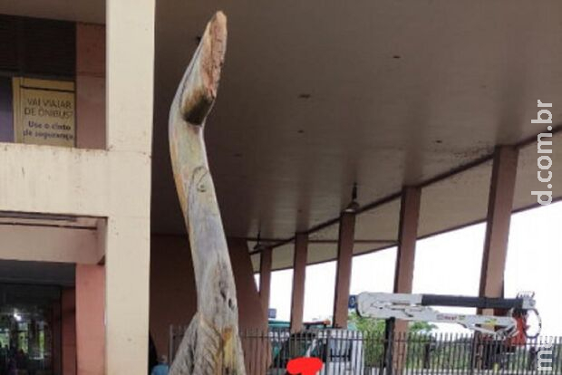 Venezuelano quebra bico da estátua da Seriema e é preso em Dourados Venezuelano quebra bico da estátua da Seriema e é preso em Dourados