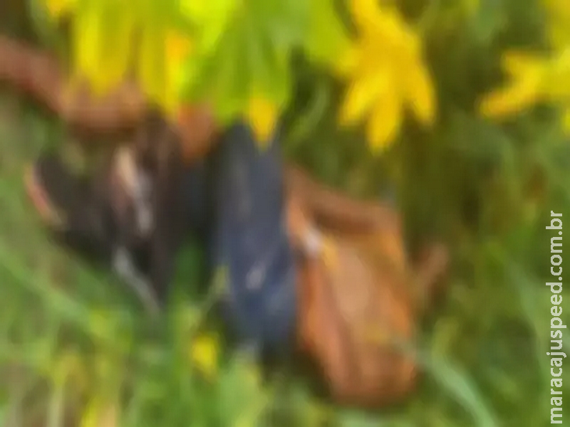 Homem é baleado após assaltar guarda municipal em escola