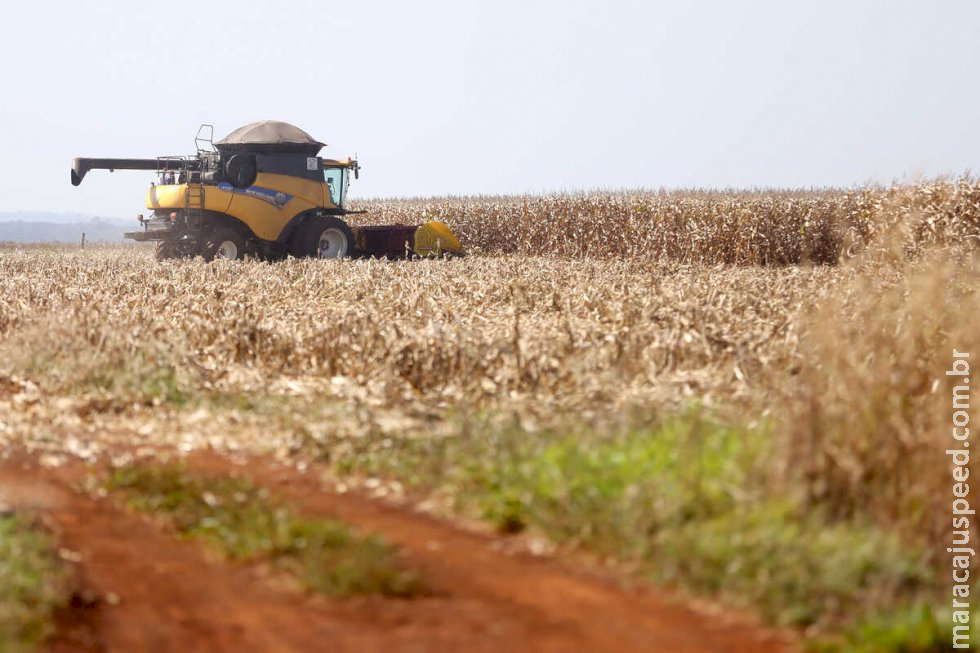 Mato Grosso do Sul é um dos 8 estados com maior percentual de crescimento na safra de 2023