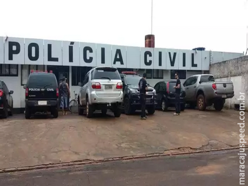 Moradora procura a polícia após gatos sumirem e 2 aparecerem mortos