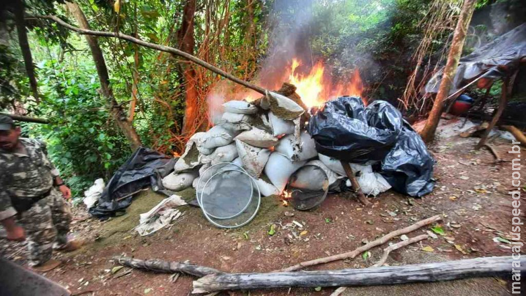 Polícia paraguaia desarticula plantações de maconha na divisa com Coronel Sapucaia Polícia paraguaia desarticula plantações de maconha na divisa com Coronel Sapucaia
