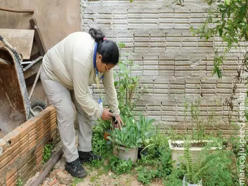 Primeira etapa de força-tarefa para evitar epidemia de dengue durará 10 dias