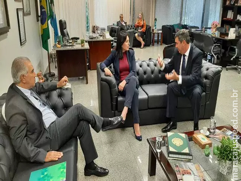 Reinaldo e Riedel se encontraram com Tebet antes de reunião tucana em Brasília
