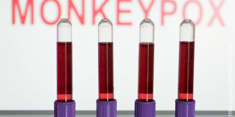 Rio de Janeiro registra mais duas mortes por varíola dos macacos