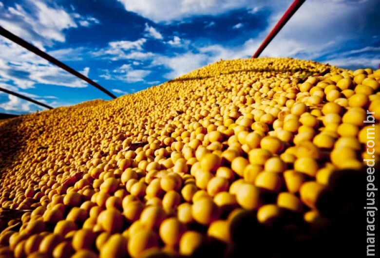 Soja aprofunda baixas em Chicago com óleo perdendo mais de 2% na tarde desta 4ª feira Soja aprofunda baixas em Chicago com óleo perdendo mais de 2% na tarde desta 4ª feira