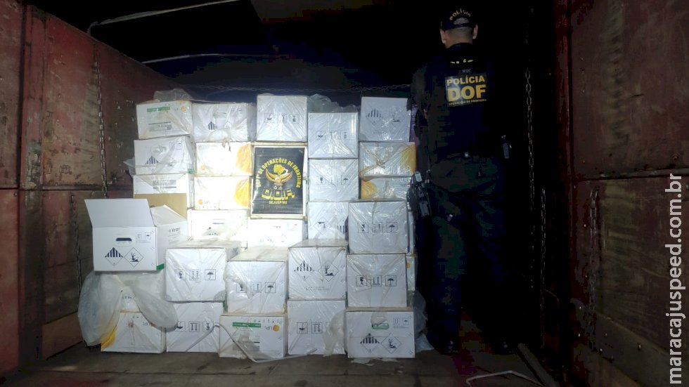 Carreta com quase R$ 750 mil em defensivos agrícolas contrabandeados é apreendida pelo DOF Carreta com quase R$ 750 mil em defensivos agrícolas contrabandeados é apreendida pelo DOF