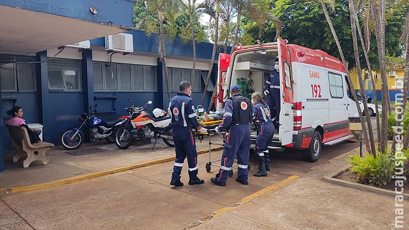 Casal em carro é atacado por enxame de abelhas em Dourados Casal em carro é atacado por enxame de abelhas em Dourados