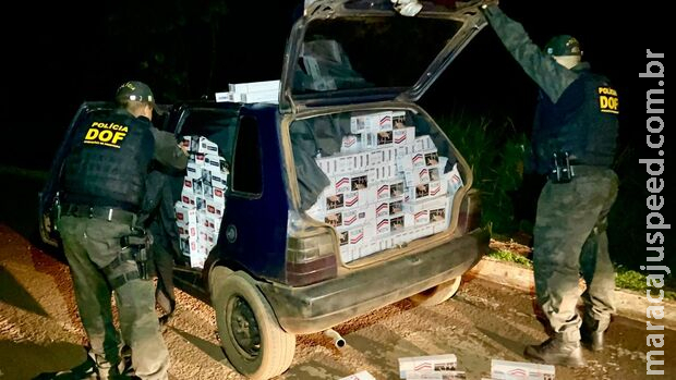 Contrabando de Cigarros avaliado em mais de R$ 90 mil é apreendido pelo DOF Contrabando de Cigarros avaliado em mais de R$ 90 mil é apreendido pelo DOF