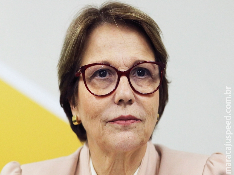 Entidade que Entidade que