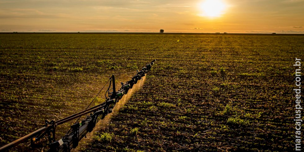 IBGE: 32% dos solos do país têm potencial natural para a agricultura IBGE: 32% dos solos do país têm potencial natural para a agricultura