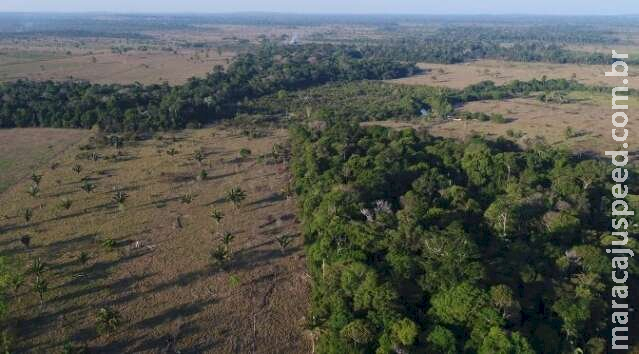 Lei dá mais 180 dias para adesão ao Programa de Regularização Ambiental Lei dá mais 180 dias para adesão ao Programa de Regularização Ambiental