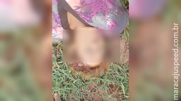 Mulher é assassinada na frente do filho em Japorã 