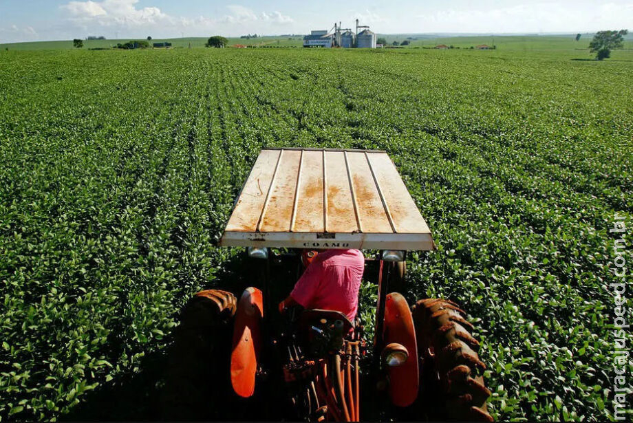 Participação da agropecuária no PIB de MS aumentou 60,12% de 2019 para 2020, aponta IBGE Participação da agropecuária no PIB de MS aumentou 60,12% de 2019 para 2020, aponta IBGE