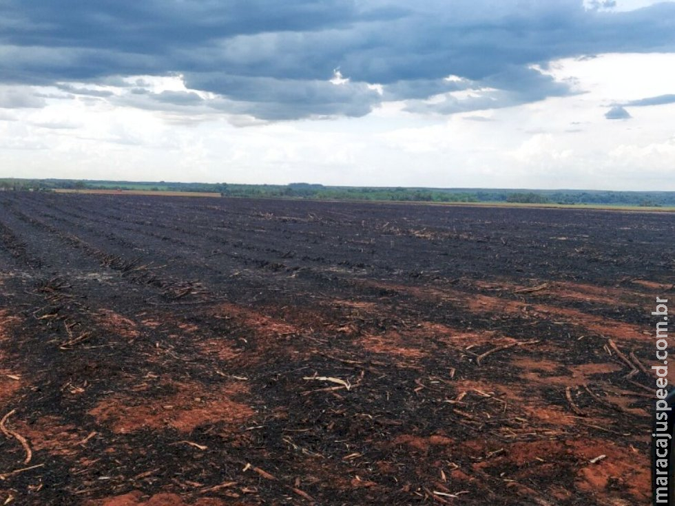 PMA autua usina sucroenergética de Rio Brilhante em R$ 163 mil por incêndio em palhada para colheita da cana-de-açúcar