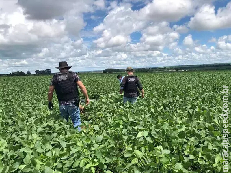 Polícia conclui que homem achado morto em plantação estuprou menina de 2 anos 