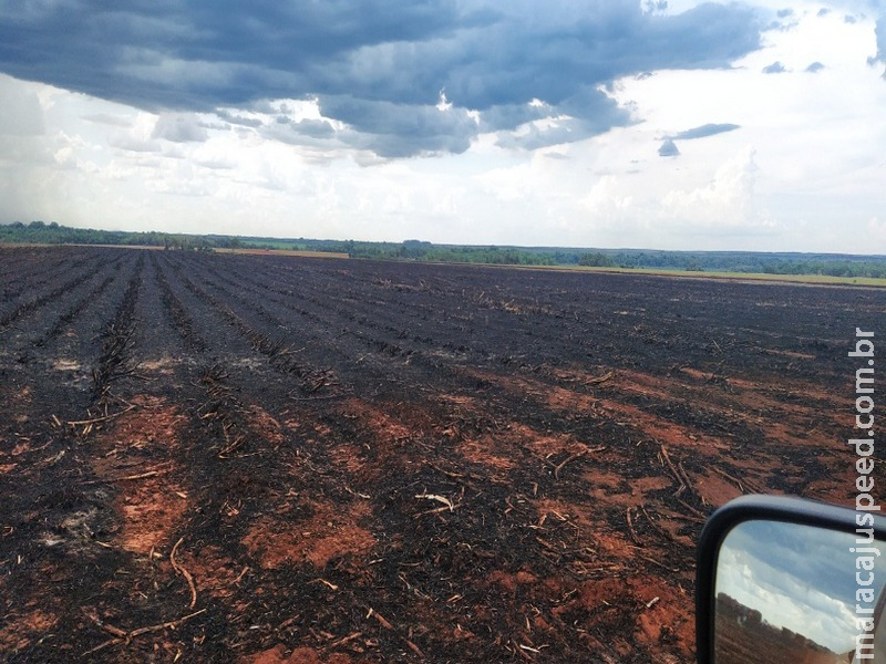 Polícia Militar Ambiental de Dourados autua usina sucroenergética de Rio Brilhante em R$ 163 mil por incêndio em palhada para colheita da cana-de-açúcar