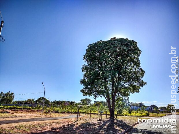 Sábado será de sol e com previsão de chuva em algumas regiões de MS 