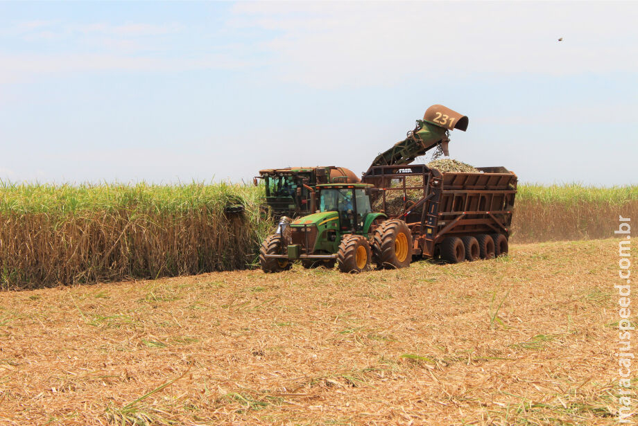 Setor sucroenergético do Estado exportou US$ 380 milhões Setor sucroenergético do Estado exportou US$ 380 milhões