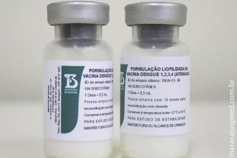 Vacina contra a dengue do Butantan alcança 79,6% de eficácia em testes Vacina contra a dengue do Butantan alcança 79,6% de eficácia em testes