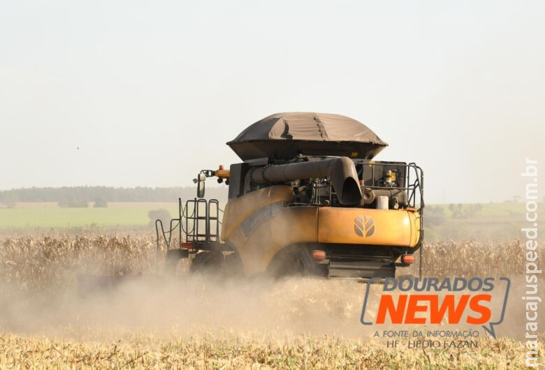 BNDES reabre linhas e anuncia mais crédito rural para safra 22/23 BNDES reabre linhas e anuncia mais crédito rural para safra 22/23
