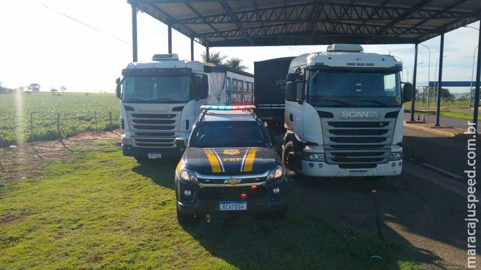 Carretas roubadas em MG são interceptadas em Caarapó e motoristas resgatados Carretas roubadas em MG são interceptadas em Caarapó e motoristas resgatados