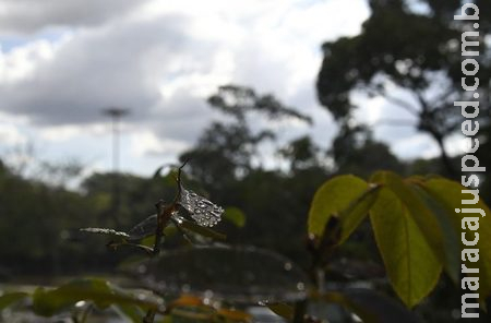 Chuvas diminuem em grande parte de Mato Grosso do Sul nesta quinta-feira Chuvas diminuem em grande parte de Mato Grosso do Sul nesta quinta-feira