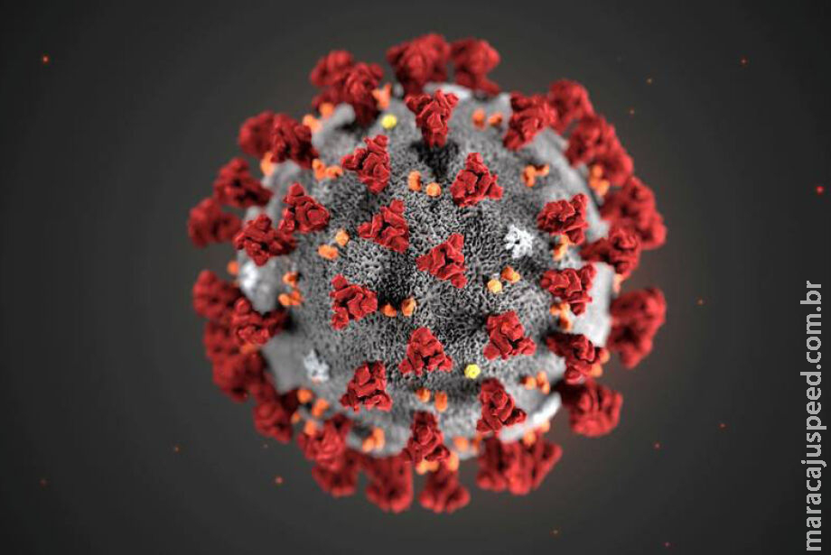 Coronavírus: Brasil apresenta nível 