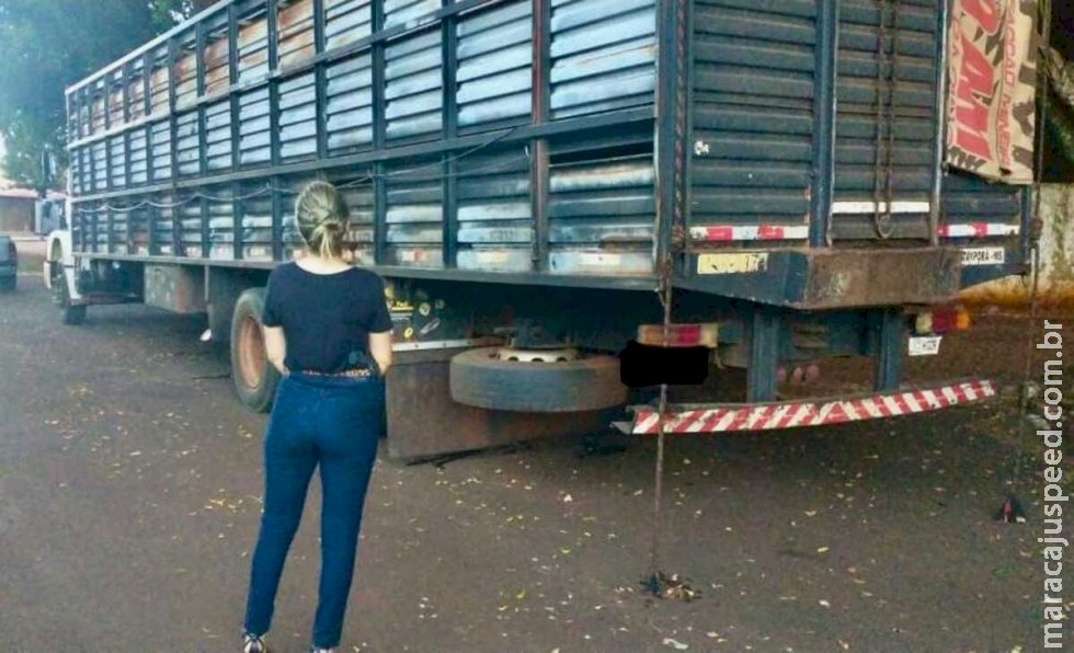Em Fátima do Sul, polícia apreende caminhão com carga irregular de 24 cavalos que seriam vendidos para consumo 
