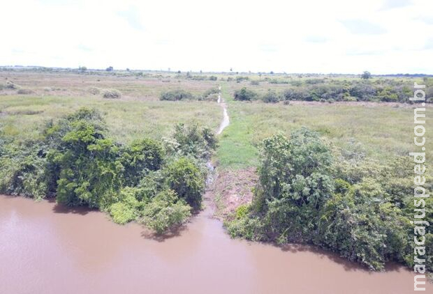 Empresa de SP é autuada em R$ 13 mil por degradação de matas ciliares do rio Ivinhema