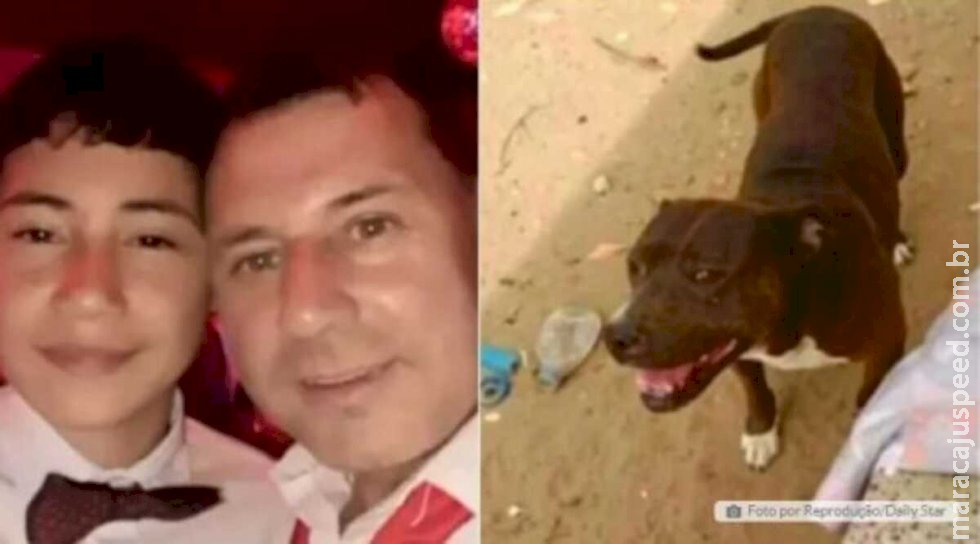Homem mata pitbull a facadas após cachorro atacar seu filho Homem mata pitbull a facadas após cachorro atacar seu filho